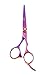 Shears Direct Rainbow Titanium Japanese Stainless Pro Styling Shear With Ergonomic Handle, 5.5 Inch, 10 Ounce RS.6517.00