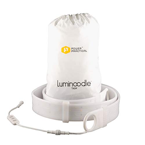 Luminoodle compito