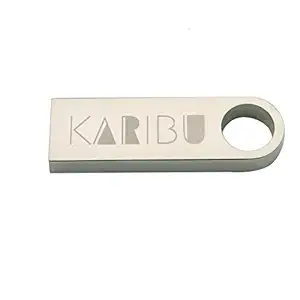 KARIBU 16GB USB 2.0 Interface, Plug and Play, Durable Solid Metal Casing Metal Color Metal Moon