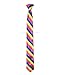 UNISEX MONO CHROME TIES NEON PARTY SCHOOL TIE FANCY DRESS DANCEWEAR CLOTH[Rainbow]
