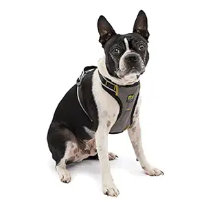 Kurgo Impact Dog Car Harness | Crash Tested Dog Car Harness | Safety Harness for Dogs | Pet Seatbelt Harness | Up to 105 lbs | For Small, Medium, & Large Dogs | Black / Charcoal, Black/Charcoal (K01606)