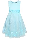 Vestido con apliques de flores y detalle de lazo, cintura ajustada, diseño de falda en capas, cierre con cremallera oculta en la parte posterior.