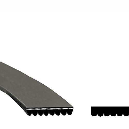  - Correa de transmisión 1915 mm Ph 6 Secadora ARISTON Indesit c00078362