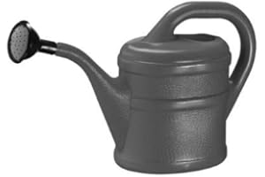 GELI Small Indoor Watering Can with removable rose (1 Litre, Anthracite Grey)