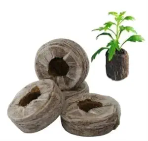 Agro Experts Cocopeat Disc 40 mm - Pack of 50 Pcs Seed Germination Disc