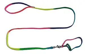 4EVER 1/2 INCH Rainbow Color Puppy & Cat Belt Dog Collar & Leash (Extra Small, Multicolor)