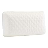 AmazonBasics Petit oreiller de voyage, mousse visco-élastique - 42 x 24 x 12 cm