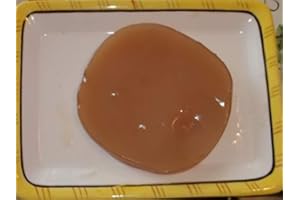 Kombuchaorganic® KOMBUCHA Tea CULTURE (Large SCOBY with Strong STARTER TEA - Makes 1 Gallon) by Kombuchaorganic®