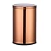 Produktbild GLL trash can TLS 10L Edelstahl Shake Cover Mülleimer Swing Mülleimer Hausmüll Box Rose Gold, Büro Hotel Wohnzimmer Sanitär Eimer