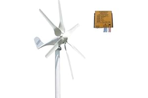 KX-ENERGIE Windkraftanlage 800W 12V 24V Mit MPPT Laderegler, 6 Blätter Horizontal Achse Windgenerator Heimgebrauch für Marine,Haushalt (12, Volt)