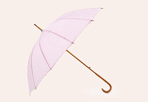 Preisvergleich Produktbild Hzhy Im Freien Sun-Regenschirm-Handregenschirm Sonniger Regenschirm Sun-Regenschirm Sun-Regenschirm