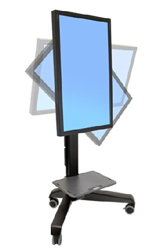 Ergotron NEO-FLEX UHD 24-192-085 (Schwarz)