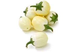AFRICAN SPICES ONLINE Fresh white Garden Egg Aubergine 1kg
