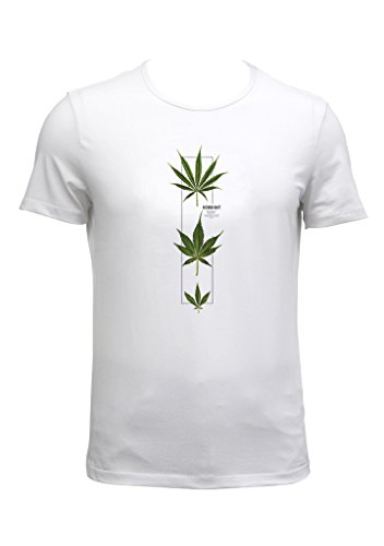 bright white fresh looking t shirt