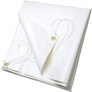 Ribiland PRB65004X05 Telo PVC, Bianco, 4x5 m, 650 gr