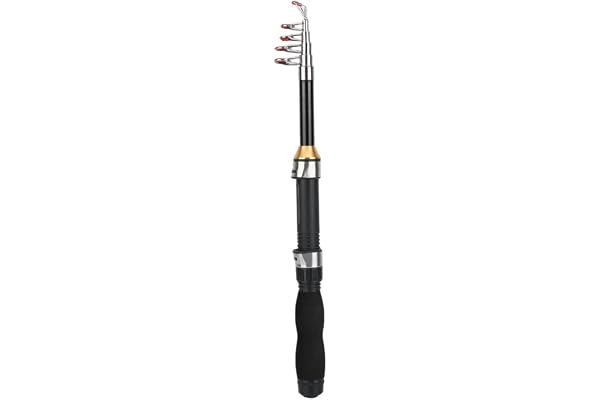 Alomejor Mini Canne à pêche de Poche Canne à pêche Stylo pour la pêche en mer Pêche en Eau Douce en Eau de mer extérieure(1.2m)