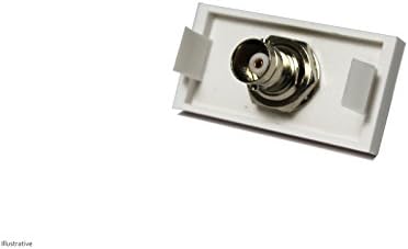 TVTech BNC Wall Plate Module