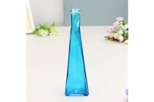 Young21 Couleur Clair Mini Vase en Verre Zakkz Fleur Bouteille Ornements en Verre Fleur Arranger Décor À La Maison - Bleu