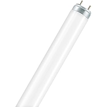 Osram Tubes Fluorescents 18 W 865 Lichtfarbe L 18 W/865 - Lumière Du Jour