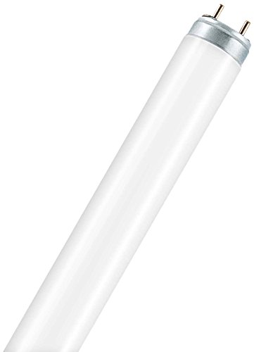 Leuchtstofflampe L 58 Watt 954 Tageslicht - Osram