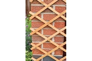 kanta 2x Large Expanding Wooden Trellis | 6Ft x 2Ft