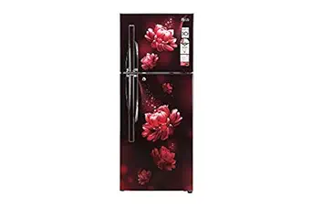 LG 260 L 2 Star Frost Free Double Door Refrigerator (S292RSCY, Multi)