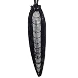 versteinerte seeigelstacheln ca. 350 Millionen altes Fossil aus Marokko