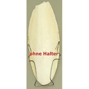 5x Sepia-Schale XXL (25 - 30 cm)