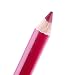 DAYAN New 12 PCS Professional Lipliner Waterproof Lip Liner Pencil 15CM