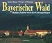 Bayerischer Wald: Rauhe Zauberwelt des Grenzgebirges