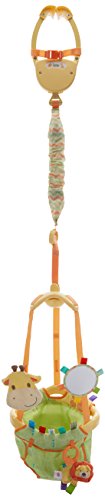 Bright Starts Safari Explorer Door Jumper for babies