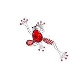 Magideal Pretty rojo rana de cristal Rhinestone broche Pin Animal joyas
