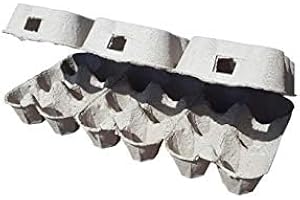 Shorefields Supplies Fibre 1/2 dozen egg boxes, 24 Pack