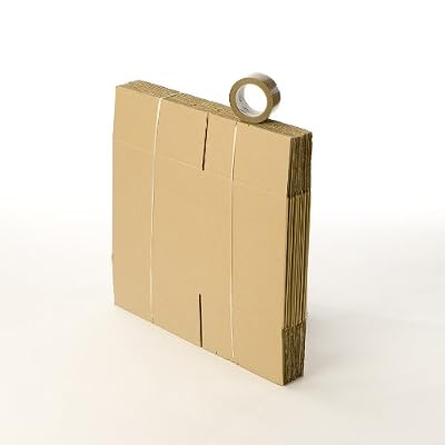 CartonsDeDemenagement.com Kit 10 cartons déménagement à livres avec 1 rouleau d'adhésif gratuit