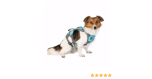 3 peaks excursion dog harness