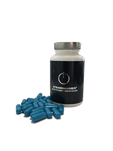 Preisvergleich Produktbild Steamhammer 120