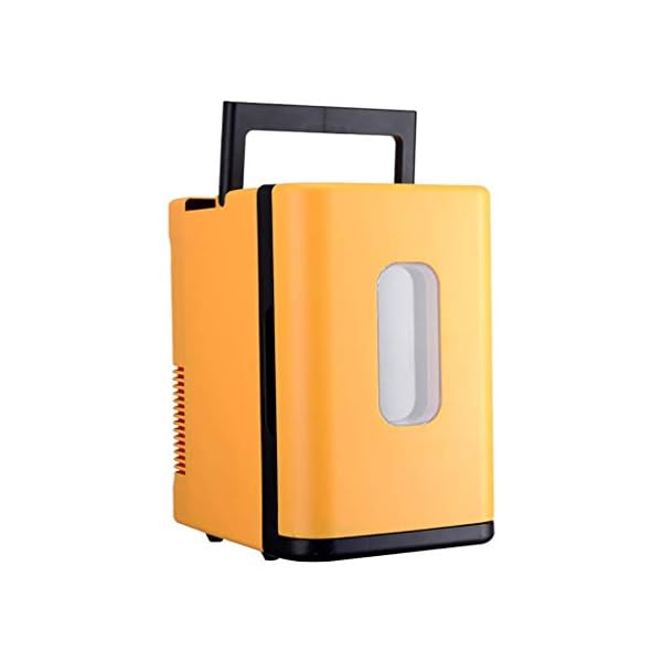 MY1MEY Kühltaschen & -Boxen 10L Mini Auto Kühlschrank, tragbare kleine Weinkühlschränke Camping Kühler & Wärmer Taschen, Auto Heizung und Kühlbox Auto.