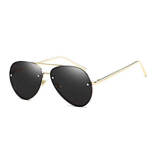 Preisvergleich Produktbild Skitic Unisex Aviator Brille Pilotenbrille Sonnenbrille Goldrahmen Schwarz Verspiegelt