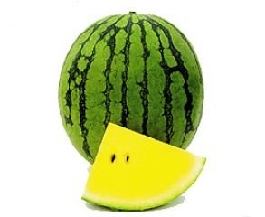Bobby-Seeds Melonensamen Primagold F1 Wassermelone Portion