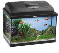 25 litre fish tank