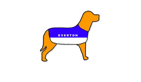 everton dog coat