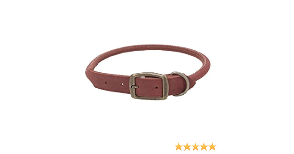 rustic dog collar