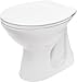 Produktbild DOMINO ECO STAND-WC PRESIDENT P20 ABLAUF SENKRECHT [OHNE WC-SITZ]