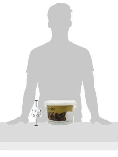 Petlife-Welpi-Milk-Replacer-and-Nutritional-Supplement-for-Dog-All-Life-Stages-2-Kg
