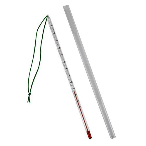 Tee Thermometer Glas mit Schnur und Kunststoff Hülle . 24 cm Teethermometer Temperaturbereich bis 110 °C . Teewasser , Wasser , Glasthermometer - 2