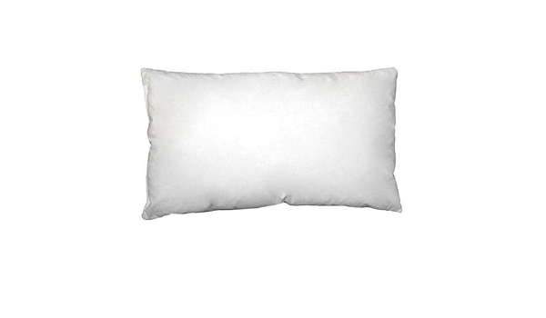 30 x 40 cushion insert