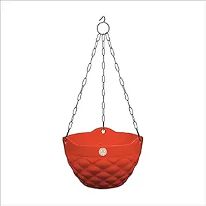 Asian Aura Premium Hanging Basket Multipurpose Hanging Plant Container & Flower Pot with Chain (Multicolour, Pack of 1)