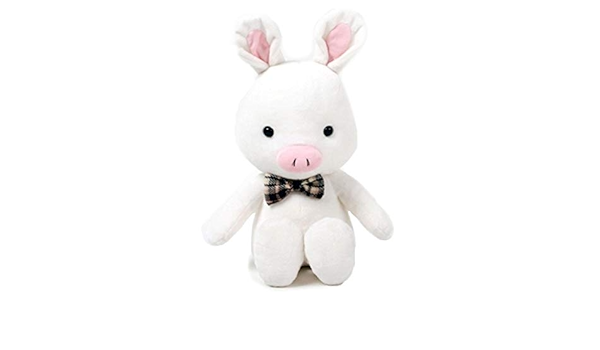 petsafe remote trainer how to use