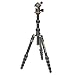 Price comparison product image 3 Legged Thing PUNKS ANARCHY Corey Tripod with Airhed Neo Ballhead Black