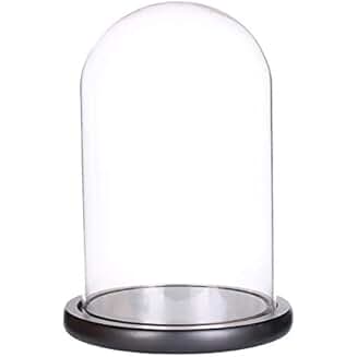 Amazon.co.uk: glass dome display case